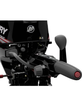 Mercury 15 HP Tiller Outboard Motor 2022 Mercury 15 HP Tiller Outboard Motor 2022