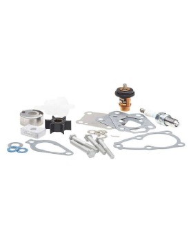 Mercury 300 Hour Maintenance Kit - 8M0120836 Mercury 300 Hour Maintenance Kit - 8M0120836