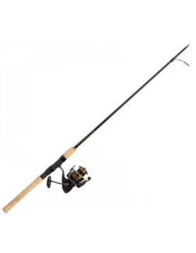 Daiwa BG Inshore Spinning Combo