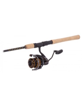 Daiwa BG Inshore Spinning Combo