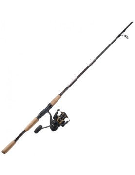 Daiwa BG/Offshore Angler Gold Cup Inshore Spinning Combo