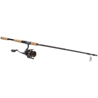 Daiwa BG/Offshore Angler Gold Cup Inshore Spinning Combo