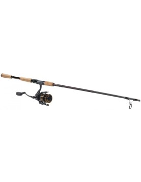 Daiwa BG/Offshore Angler Gold Cup Inshore Spinning Combo