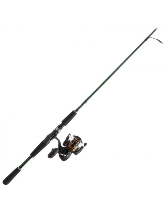 Daiwa BG/Offshore Angler Salt Striker Spinning Combo