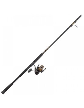 Daiwa BG Offshore Spinning Combo