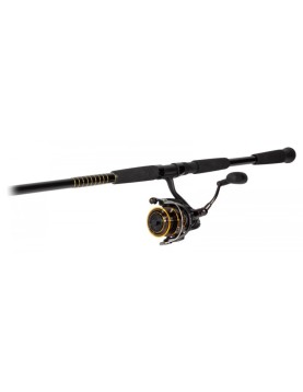 Daiwa BG Offshore Spinning Combo