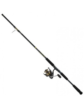 Daiwa BG Surf Spinning Combo