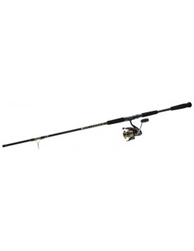 Daiwa BG Surf Spinning Combo