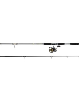 Daiwa BG Surf Spinning Combo