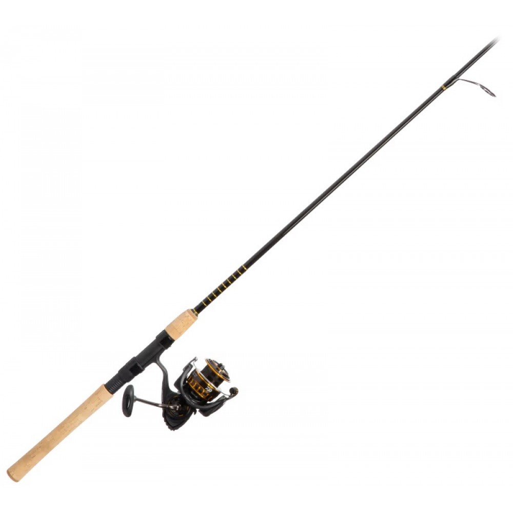 Daiwa BG Inshore Spinning Combo