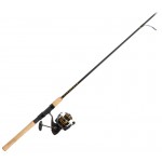 Daiwa BG Inshore Spinning Combo