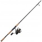 Daiwa BG/Offshore Angler Gold Cup Inshore Spinning Combo