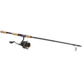 Daiwa BG/Offshore Angler Gold Cup Inshore Spinning Combo