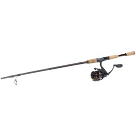 Daiwa BG/Offshore Angler Gold Cup Inshore Spinning Combo