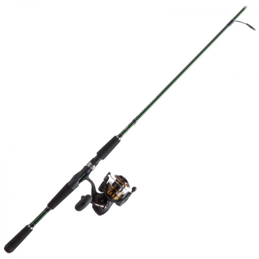 Daiwa BG/Offshore Angler Salt Striker Spinning Combo