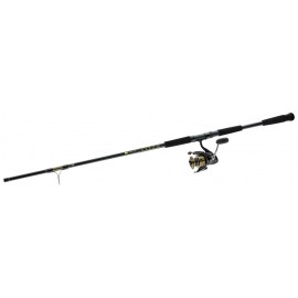 Daiwa BG Surf Spinning Combo