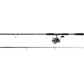 Daiwa BG Surf Spinning Combo