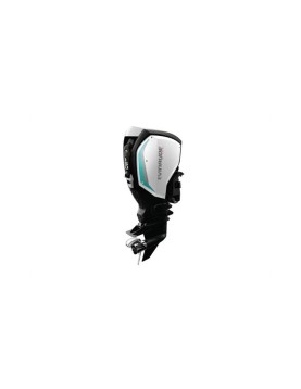 Evinrude E TEC G2 Engines 150 HP C150PL Evinrude E TEC G2 Engines 150 HP C150PL