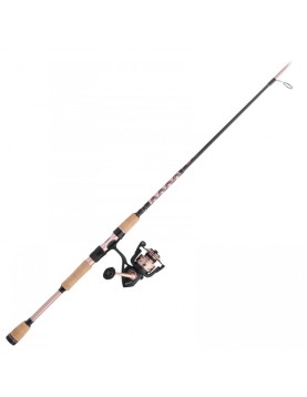 PENN Passion II Spinning Combo