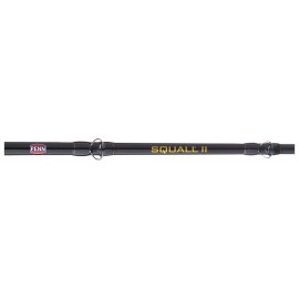 PENN Squall II Lever Drag Conventional Combo