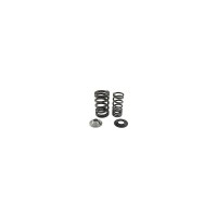 Jet-ski Racing Kawasaki RIVA Spring & Cup Kit for 1500