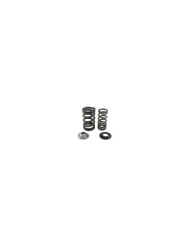 Jet-ski Racing Kawasaki RIVA Spring & Cup Kit for 1500 Jet-ski Racing Kawasaki RIVA Spring & Cup Kit for 1500