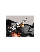 Sea-Doo Column and Plate Speed for RXP 2012