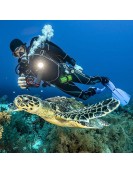 SeaLife ReefMaster RM-4K Pro 2000 Set